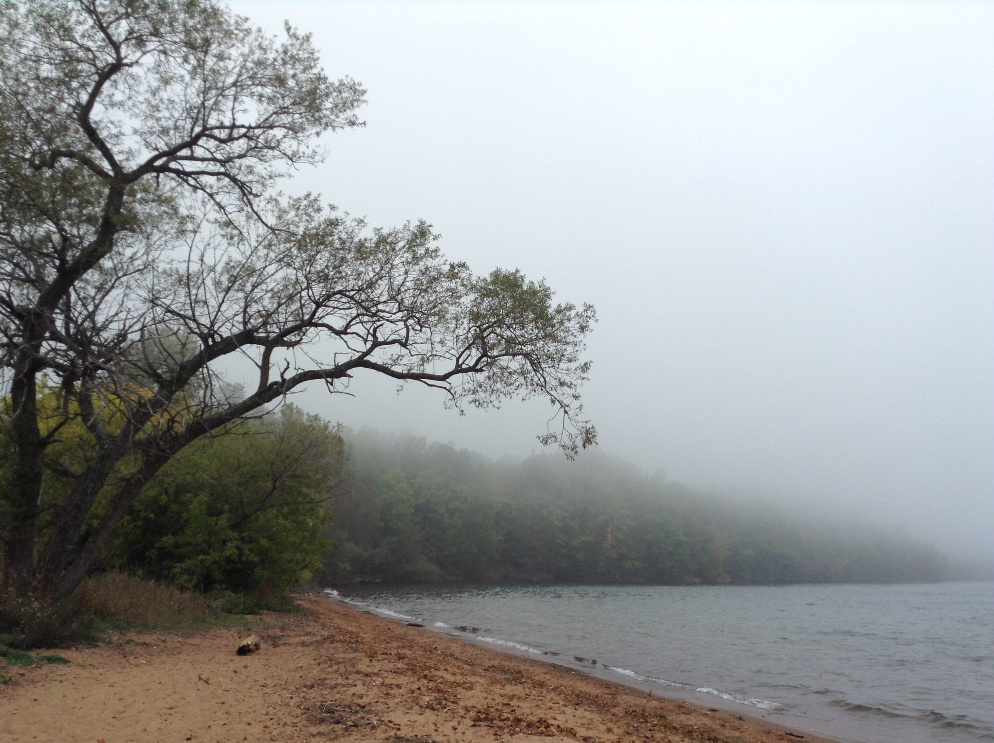 Best Food in Bayfield, WI: A Culinary Guide to a Quaint Lakeside Town